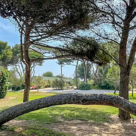 En Privee, Face A La Avec Acces Direct Hyères